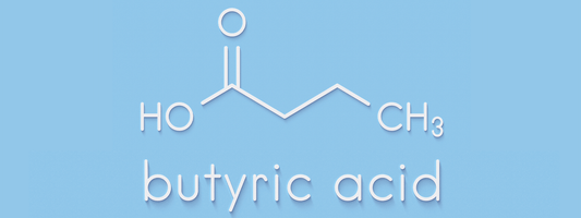 Meet Butyrate, your Gut's Best Friend