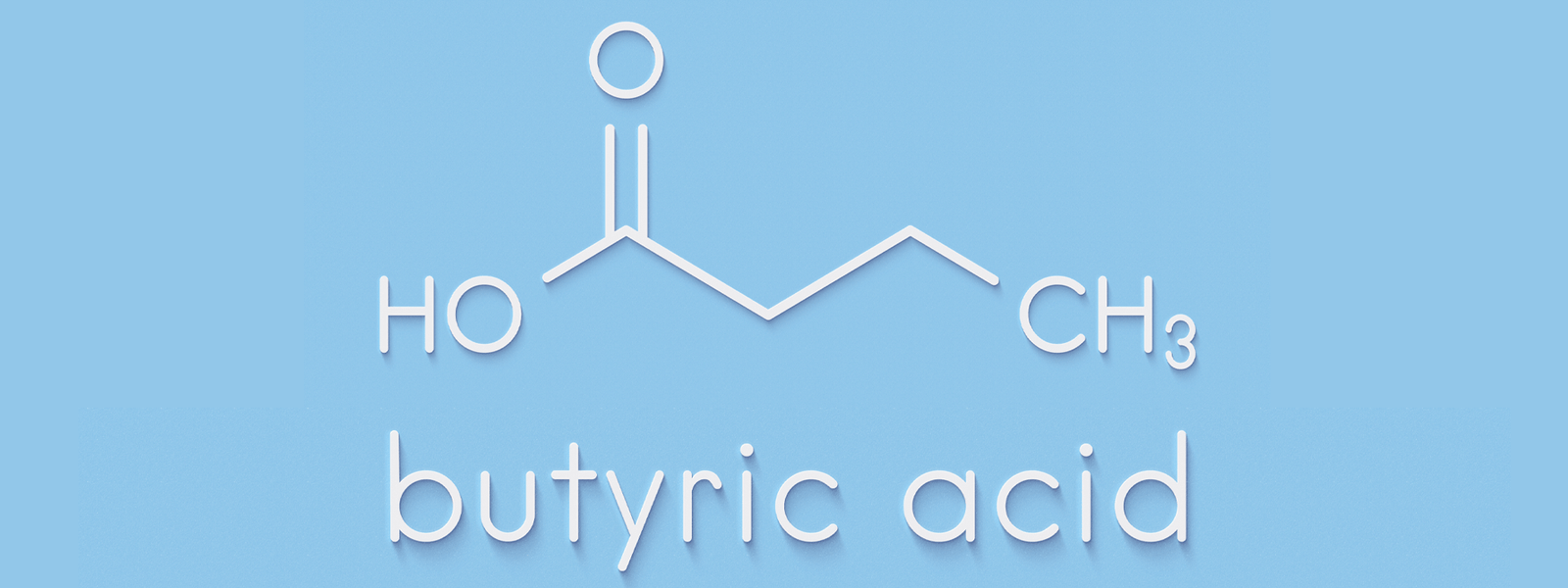 Meet Butyrate, your Gut's Best Friend